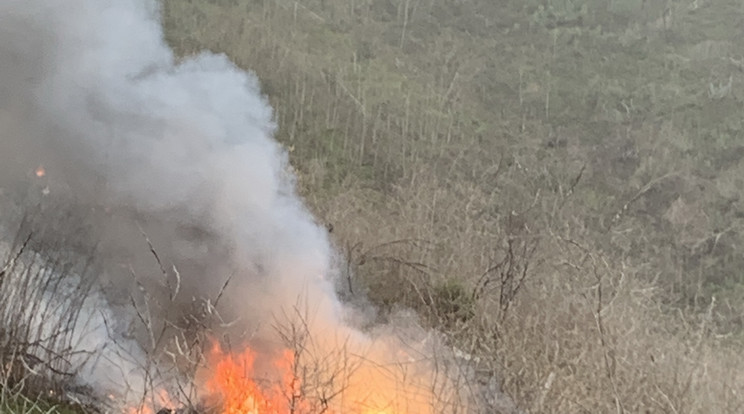 Bryant Kobe helikoptere lángokban a baleset után - Fotó: Northfoto