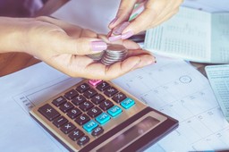 Przy 50-proc. kosztach autorskich fiskus jest jak chorągiewka