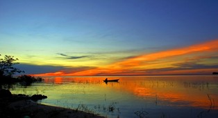 Niszczenie Amazonii odpowiada za miliony przypadków chorób