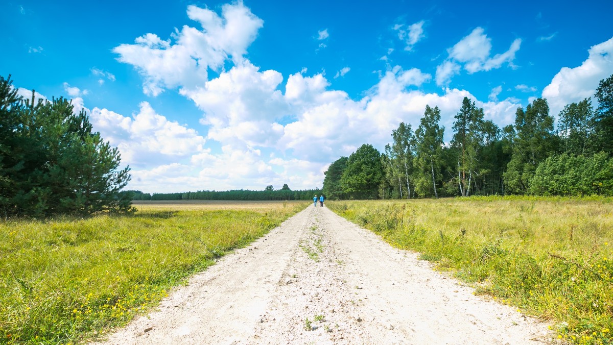 Jaka pogoda w środę, 16 czerwca? Temperatura coraz wyższa, mało opadów