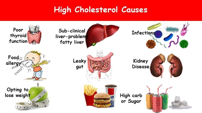 These are a few causes of high cholesterol