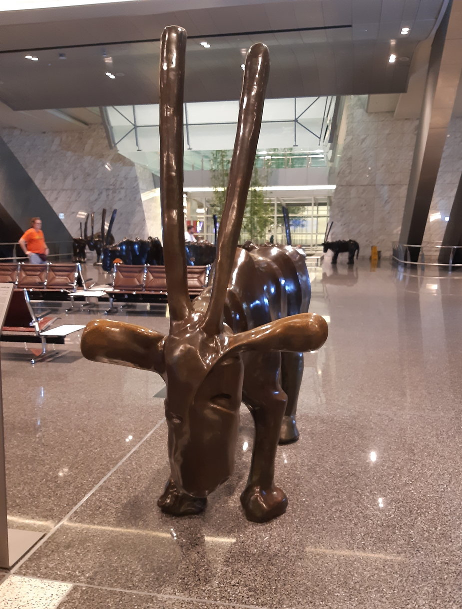 Oryks arabski, zwierzę z logo Qatar Airways, króluje na lotnisku w Dausze