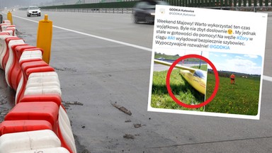 Nie miał prawa tu lądować. A jednak pojawił się na autostradzie A1 [ZDJĘCIA]