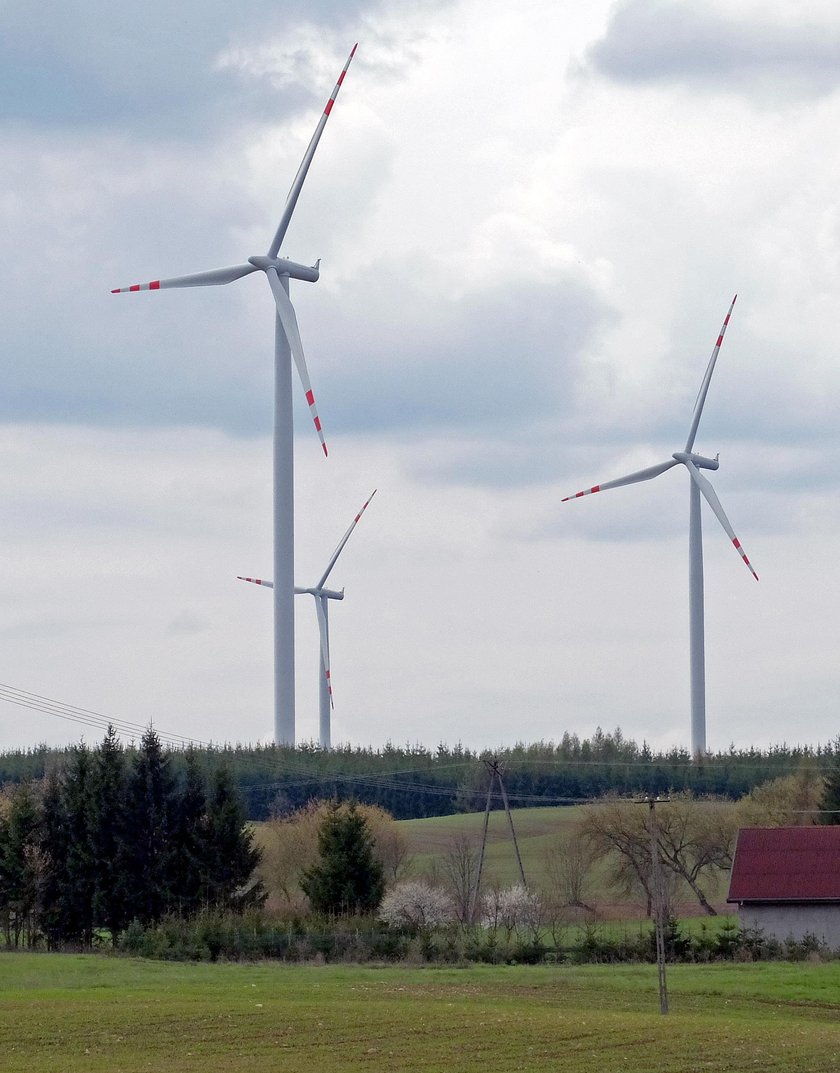 Polska powinna inwestować w OZE