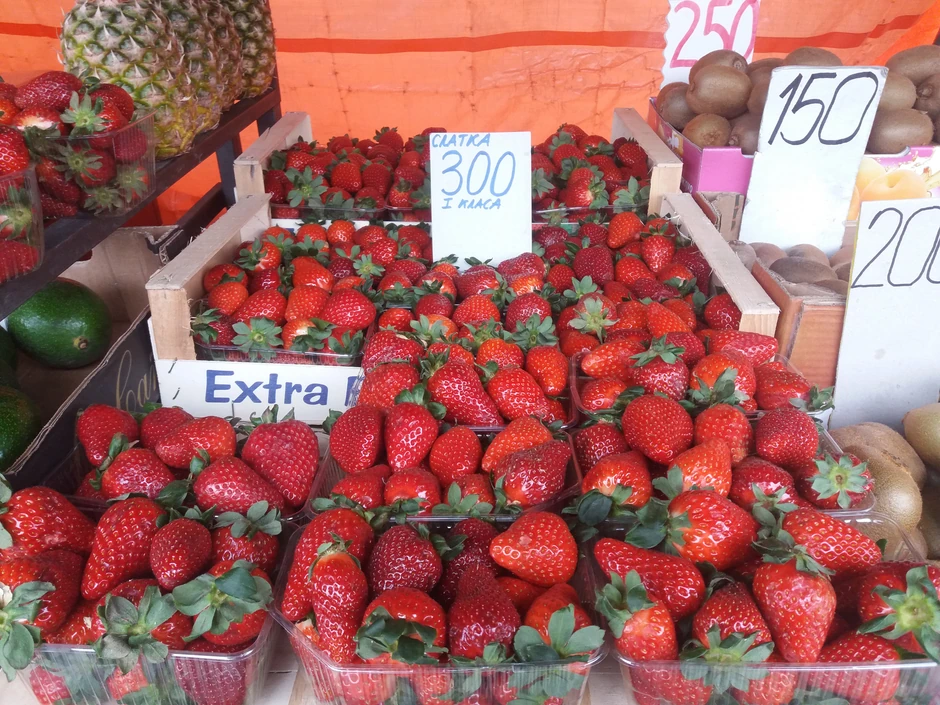 Jagode najviše obradovale mališane i trudnice