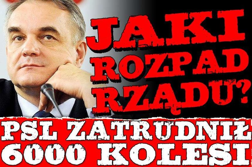 Jaki rozpad rządu? PSL zatrudnił 6000 kolesi