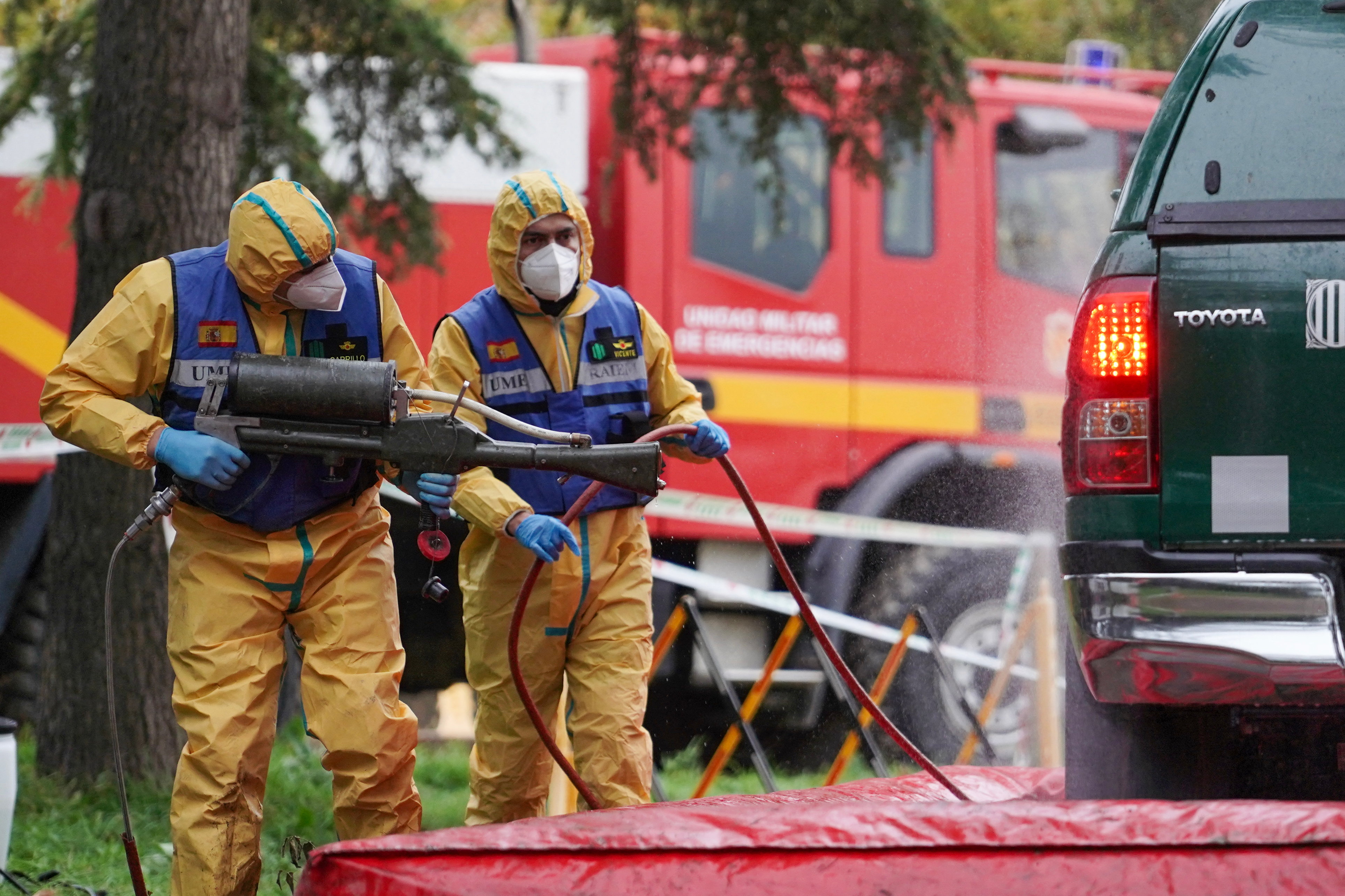 Labor-Unfall als Schweinepest-Ursprung? 80.000 Tiere sollen sterben