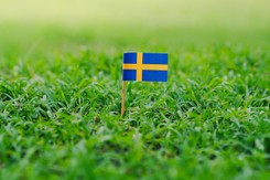 W Szwecji rozegrano mecz, który utrzymywano w tajemnicy przed... bukmacherami