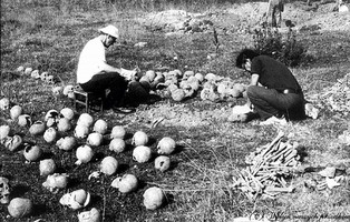 Wkrótce ekshumacje polskich ofiar na Wołyniu. Jest zapowiedź ambasadora Ukrainy