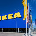 Połowa mebli drewnianych z IKEA powstaje w Polsce. Sieć ujawniła kilka istotnych liczb