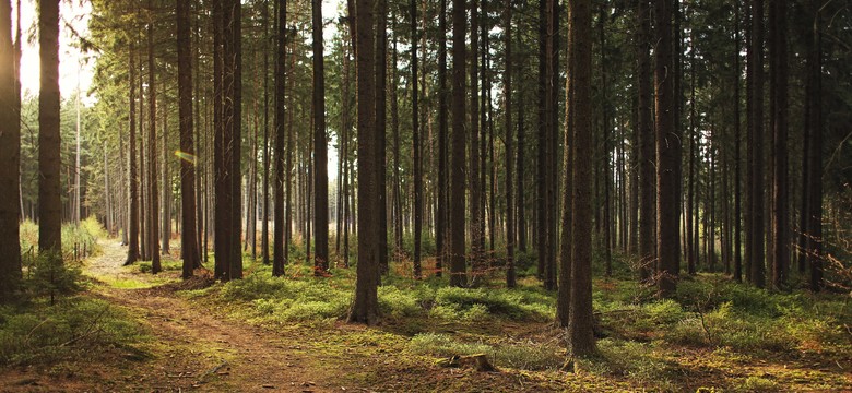 250 mln euro od Banku Światowego. Polska otrzyma pożyczkę na walkę ze smogiem