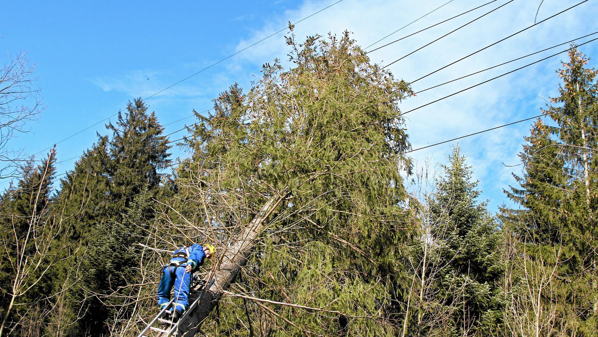 Jeszcze około trzy tysiące gospodarstw z pogranicza województw małopolskiego i śląskiego jest pozbawionych prądu. Halny wiejący z prędkością 100 km na godzinę spowodował tam uszkodzenie linii średniego napięcia.