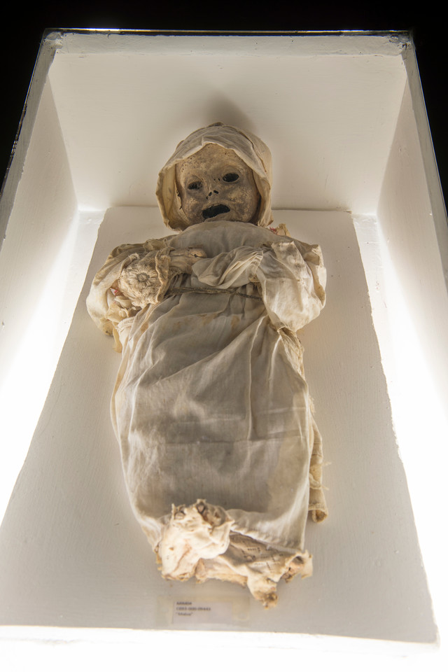 Mumie z Guanajuato. Makabryczna atrakcja w Meksyku