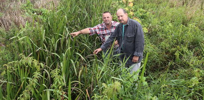 Rolnicy z Powsina apelują: Oczyśćcie nam kanałki