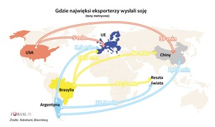 Wojna handlowa na plantacjach soi. Dlaczego te nasiona są tak ważnym orężem w konflikcie USA-Chiny?