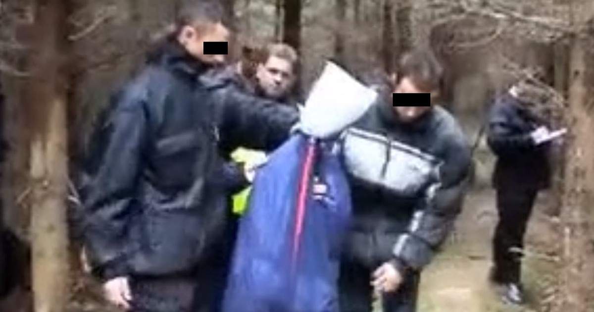Złotoryja. Licealiści zabili kolegę. Tajny Zakon Dragon i egzekucja w lesie - Vimarsana News