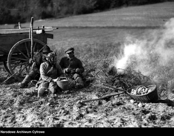 Wieś polska w okresie II RP