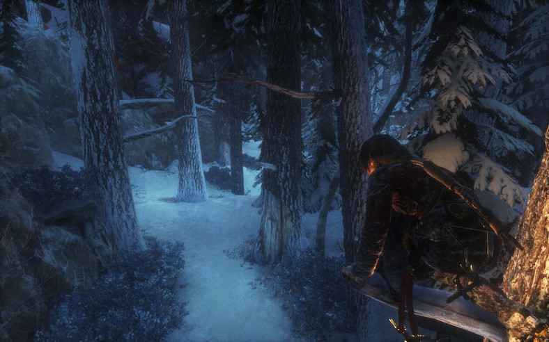 Rise of the Tomb Raider PC