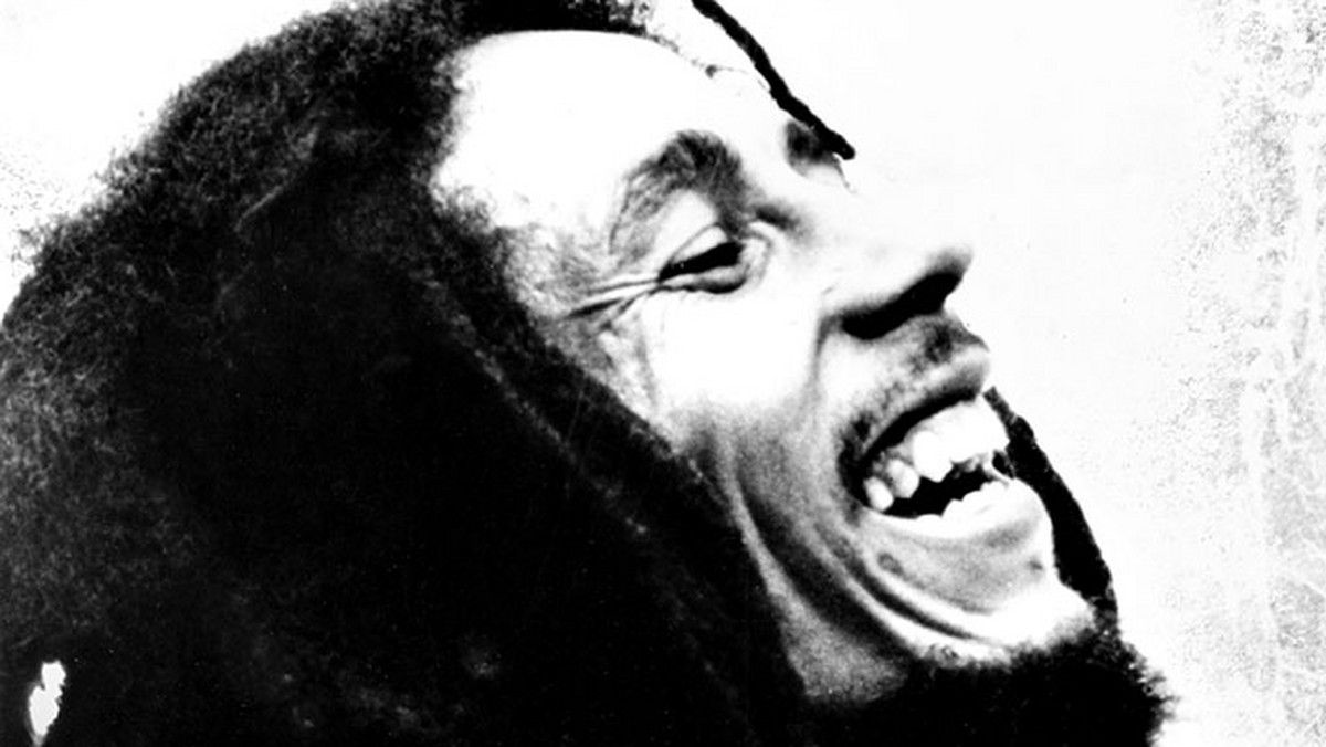 Do książki Chrisa Salewicza "Bob Marley. Nieopowiedziana historia króla reggae" została dołączona płyta z utworami wykonywanymi przez Kamila Bednarka, Muńka Staszczyka i Farben Lehre.