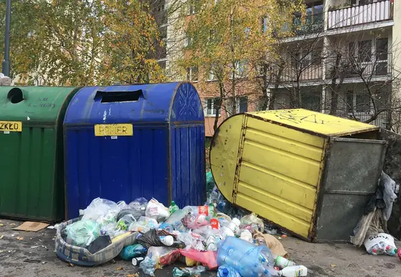 Gdzie wyrzucić stary dywan czy klawiaturę? "Pan Śmieciarz" to aplikacja, dzięki której nie pomylisz już śmietników