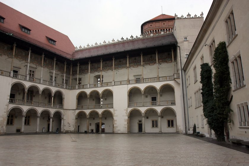 Włamał się na Wawel i zdemolował strych