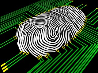 Skandal w USA. Resort zapomniał o odciskach? Nie ma ich w bazie FBI