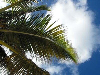 Bankructwo biura podróży Blue Rays: 412 osób poza granicami kraju