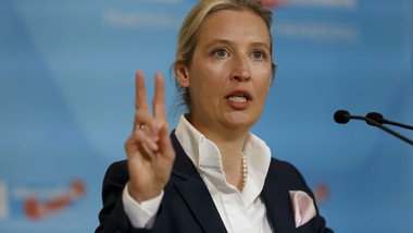 afd miażdży konkurencję. idzie po zwycięstwo pod granicą polski