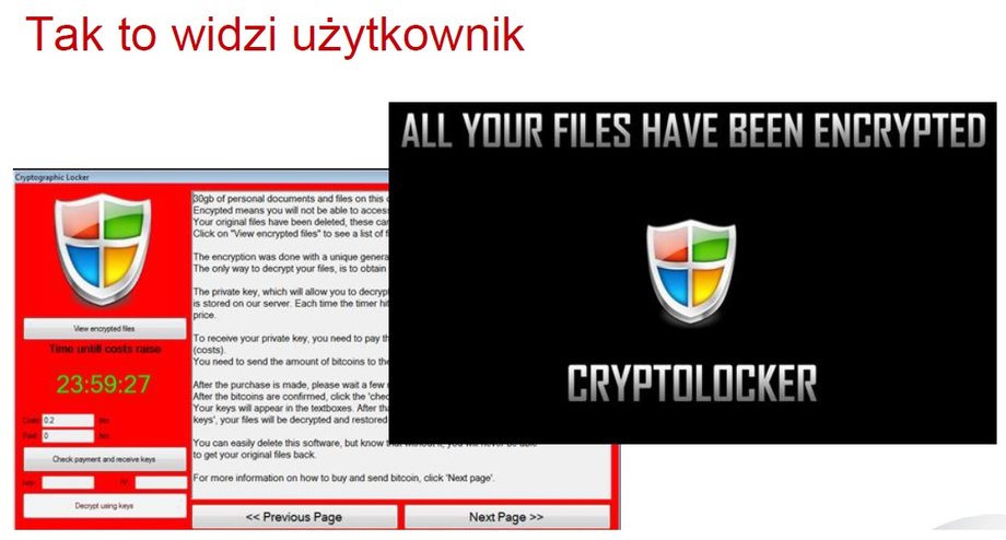 Przykład oprogramowania typu cryptoransomware