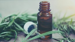 ¿Cómo afecta el aceite de cáñamo CBD a nuestro cuerpo?  Descubre todos los beneficios