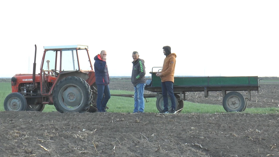 Avion je pao baš u ovu njivu