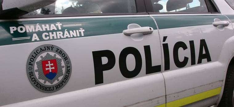 Wypadek na Słowacji - drugi z oskarżonych Polaków zwolniony za kaucją