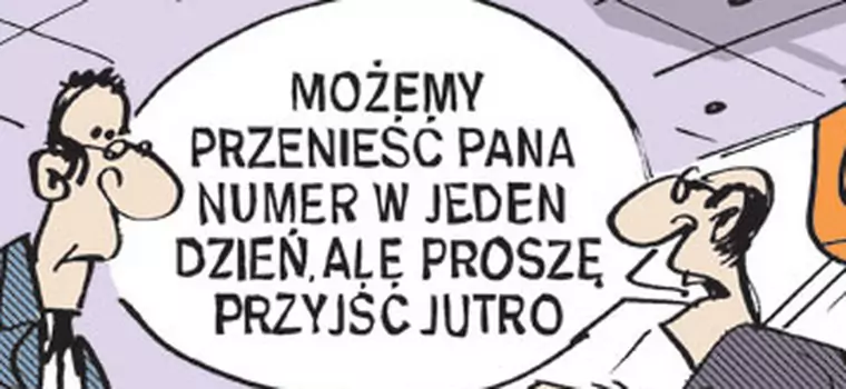 Przepisy o przenoszeniu numerów wchodzą w życie z dużymi oporami