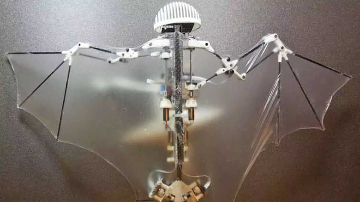 Bat Bot – autonomiczny dron-nietoperz