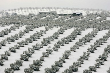 SPAIN-WEATHER-SNOW