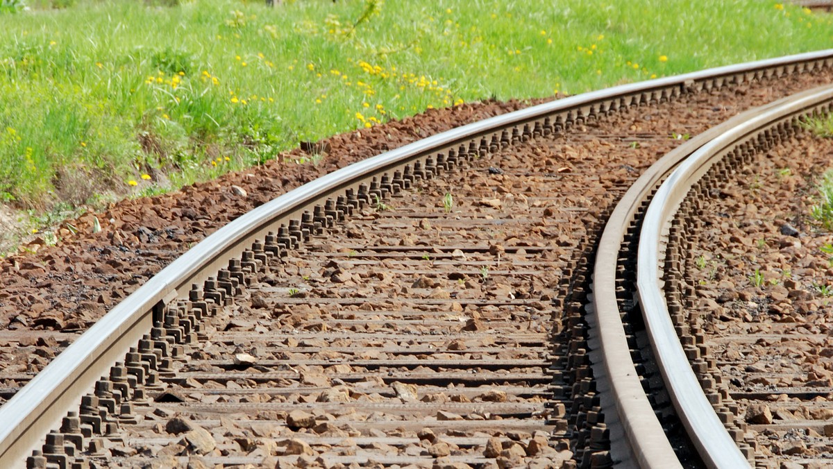 Zarządca kolejowej infrastruktury, spółka PKP PLK remontuje w woj. śląskim m.in. odcinki linii kolejowych mające znaczenie dla ruchu towarowego. Prace na nich, jak np. warty ponad 26 mln zł remont jednej z linii w Sosnowcu, wpływają również na ruch osobowy.