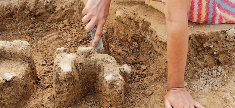 Ciekawe odkrycie archeologów w Turcji. Jednak Göbekli Tepe i Karahan Tepe to nadal zagadki