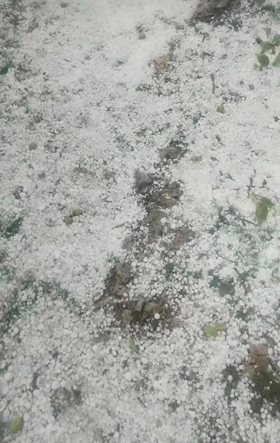 Nevreme u Arilju