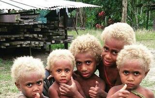 Melanesians Meet The World S Only Natural Black Blondes Pulse