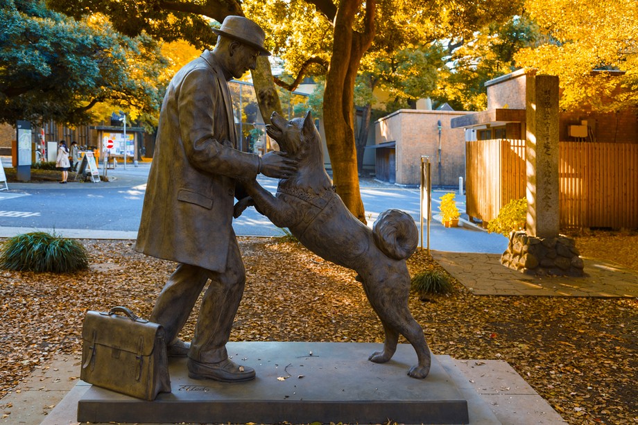 Pomnik psa Hachiko, który przez 10 lat czekał na dworcu na powrót swojego opiekuna