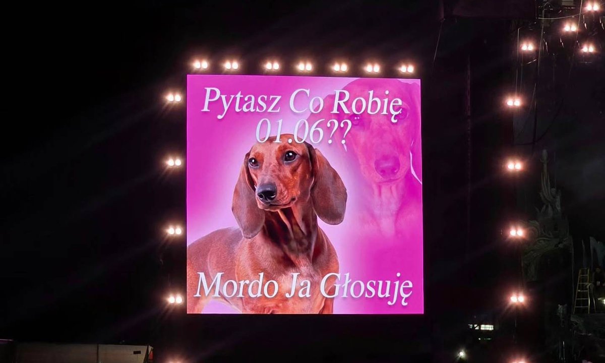 Zaskakujące grafiki na Orange Warsaw Festiwalu. "Mordo, ja głosuję"