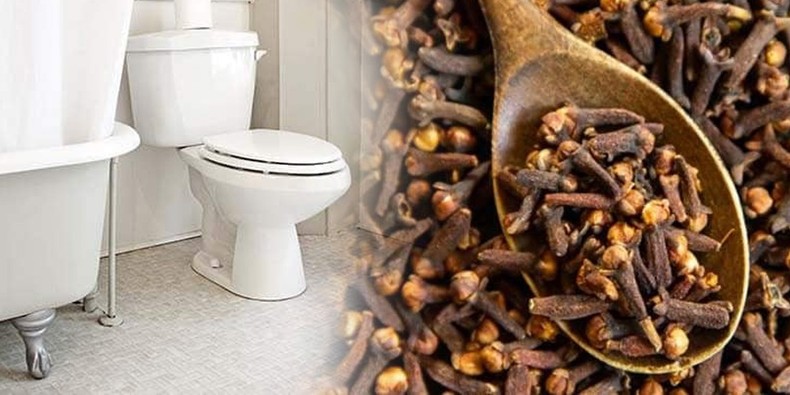 clou de girofle et WC