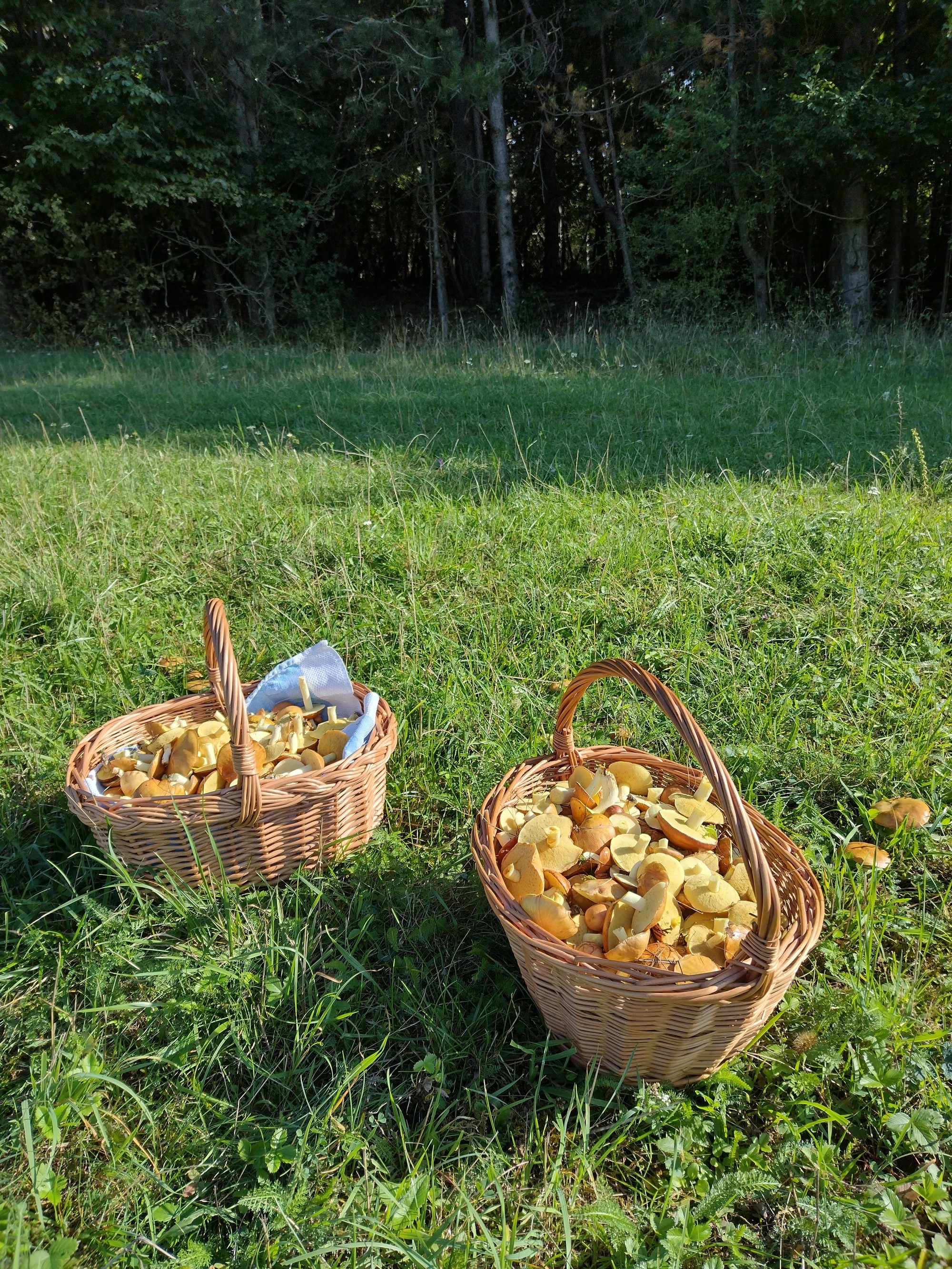 Marta sa pochválila parádnou nádielkou.