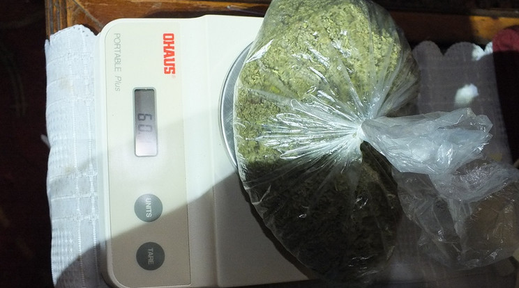 A hatóságok 70 gramm herbált találtak a házkutatás során, a férfi ellenben heti több alkalommal is 70-150 gramm közötti mennyiséget vásárolt, amelyet aztán lakásán értékesített / Fotó: Szabolcs-Szatmár-Bereg Megyei Főügyészség