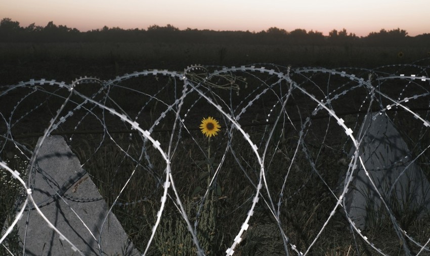 Bodljikava ograda nedaleko od rusko-ukrajinske granice u oblasti Sumi 17. avgusta