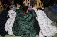 Białowieska Akcja Humanitarna: Nasz spokojny las stał się grobowcem [PODCAST]