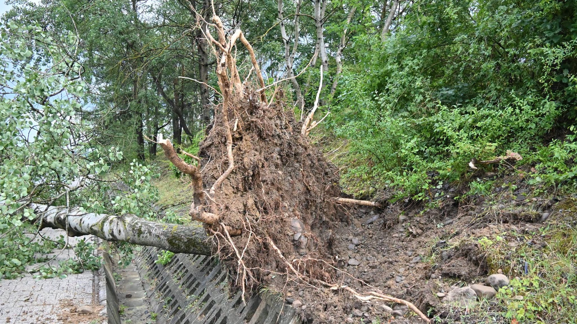Škody po silnej búrke v Humennom