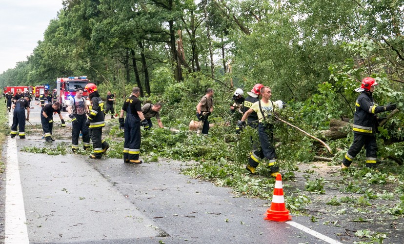 Piasek na Śląsku. Strażacy usuwają powalone drzewa z drogi krajowej nr 1