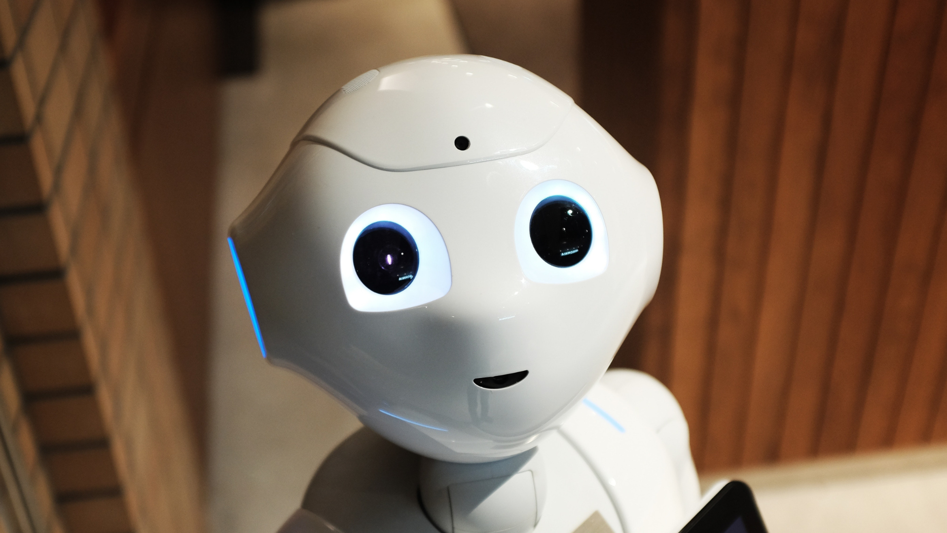 Robot
