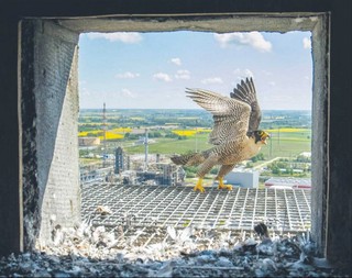 ORLEN podejmuje działania na rzecz bioróżnorodności